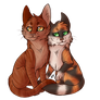 Rowanstar and Tawnypelt V2