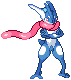 Koipilotti the Greninja