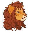 A lion head