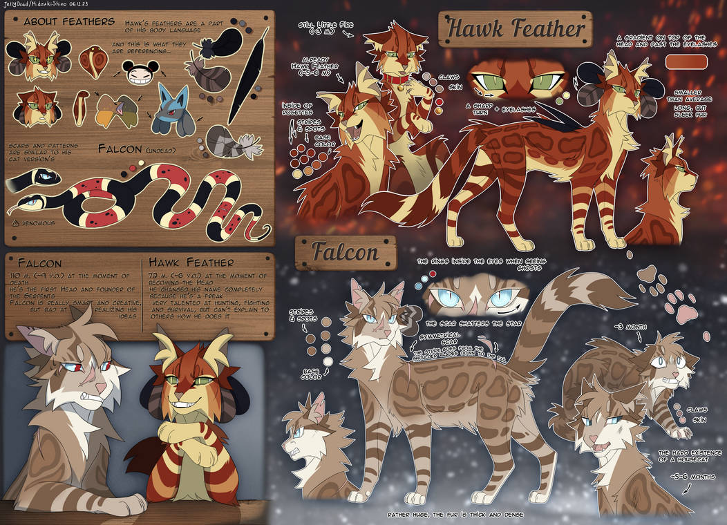 Falcon Reference Falcon and Hawk (reference) by JellyDead on DeviantArt