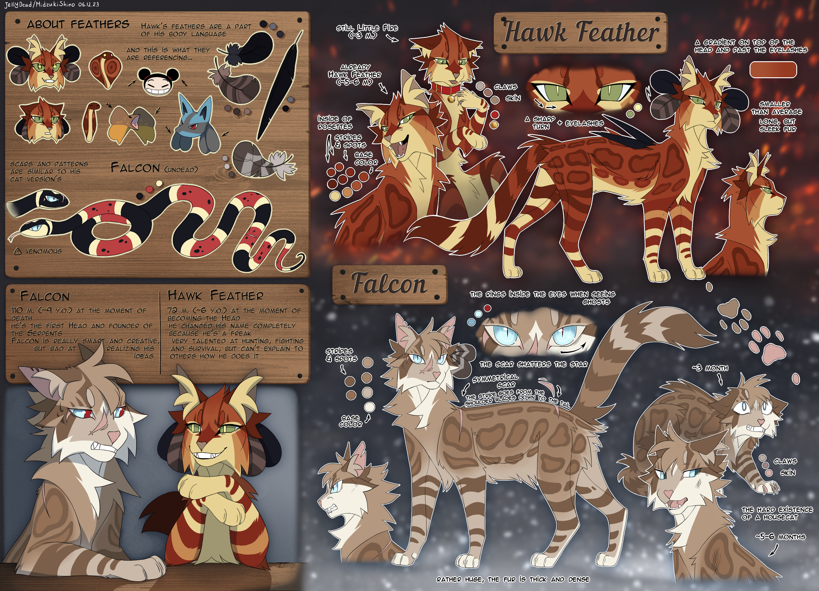Hawk Ref Base Falcon and Hawk (reference) by JellyDead on DeviantArt