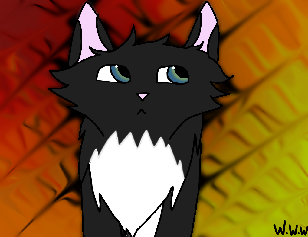 Ravenkit by Waterwolfwebkinz on DeviantArt