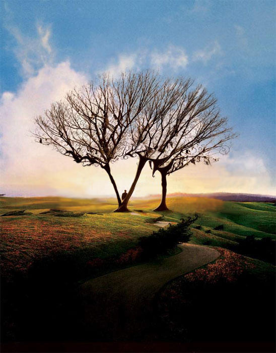 Tree of Six by AnaB on DeviantArt