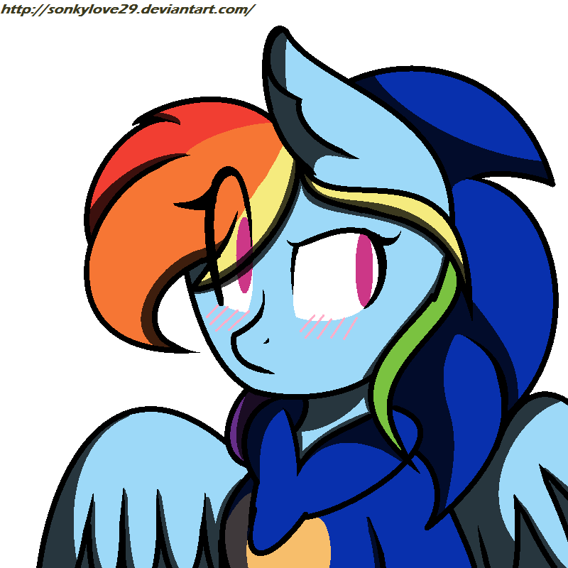 Dashie 4 ID