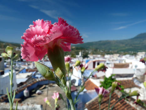 Chefchaouen