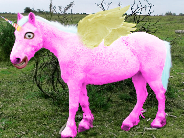 Real Life Quadrapegaunipony