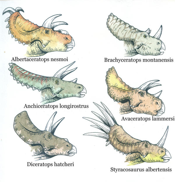 ceratops types