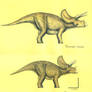 T.horridus and T.prorsus