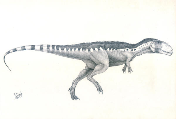 Mapusaurus roseae by T-PEKC on DeviantArt
