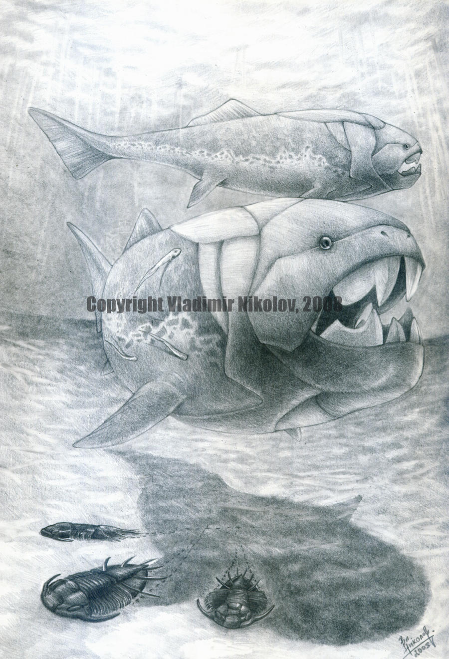 Dunkleosteus terrelli