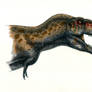 Tyrannosaurus rex II- coloured