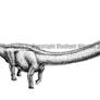 Omeisaurus tianfuensis