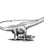 Mamenchisaurus youngi