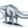 Nigersaurus taqueti