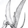 Pterorhynchus wellnhoferi