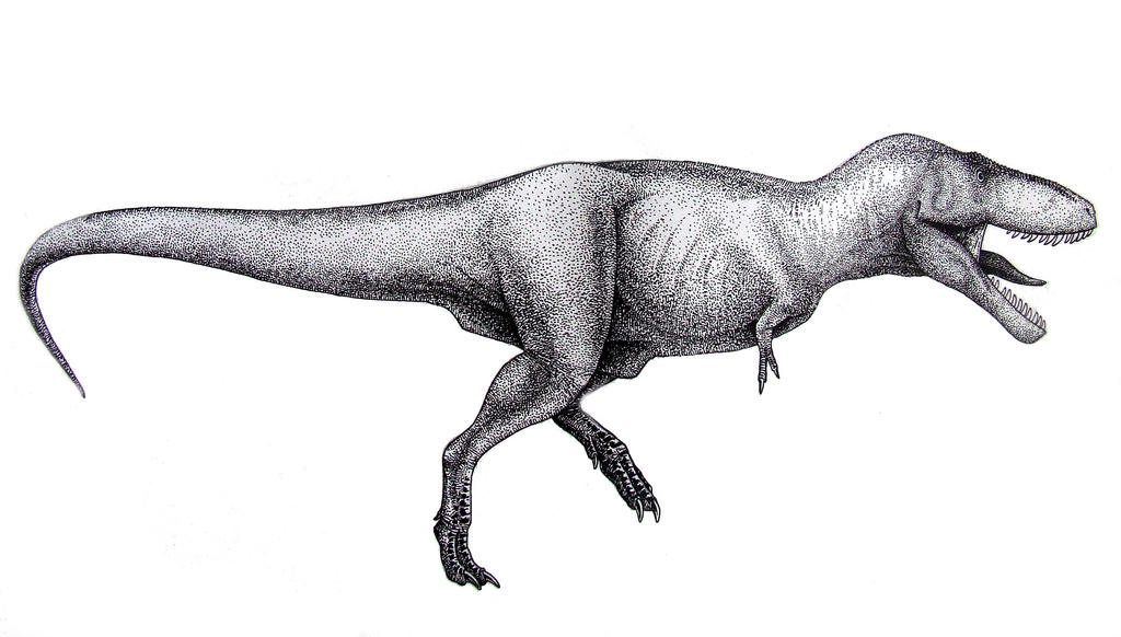 Tyrannosaurus rex- side view