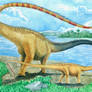 Diplodocus hallorum