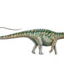 Apatosaurus excelsus