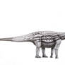 Spinophorosaurus nigerensis