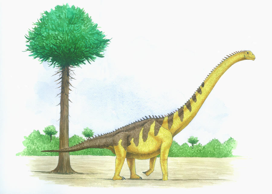Euhelopus zdanskyi