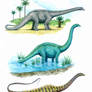 Diplodocus through the years