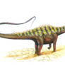 Diplodocus carnegii