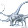Supersaurus vivianae