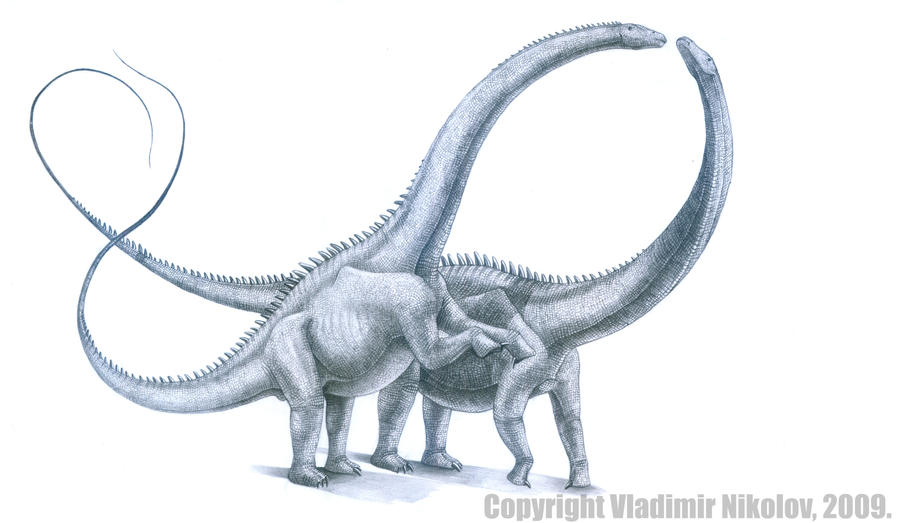 Supersaurus vivianae