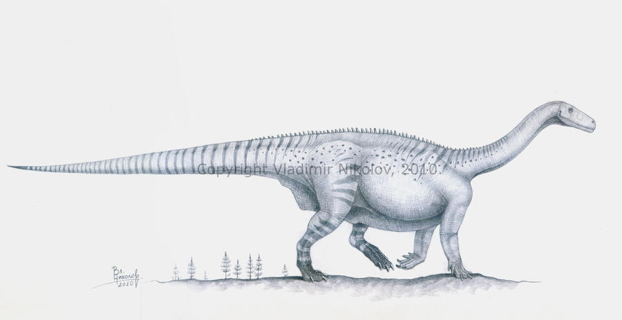 Melanorosaurus readi