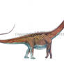Alamosaurus sanjuanensis