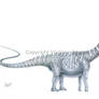 Malawisaurus dixeyi