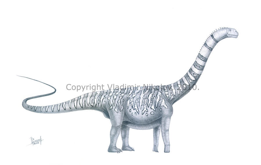 Malawisaurus dixeyi