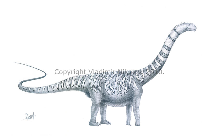 Malawisaurus dixeyi