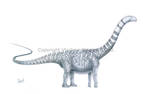 Malawisaurus dixeyi