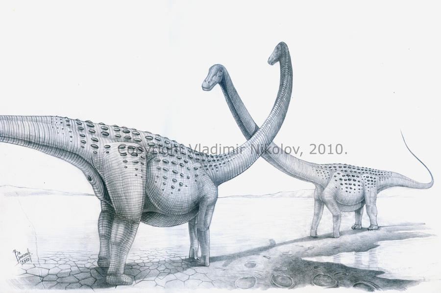 Rapetosaurus krausei
