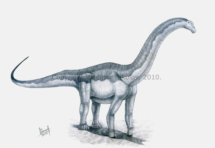 Isisaurus colberti