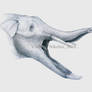 Platybelodon