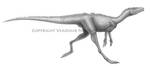 Marasuchus lilloensis by T-PEKC