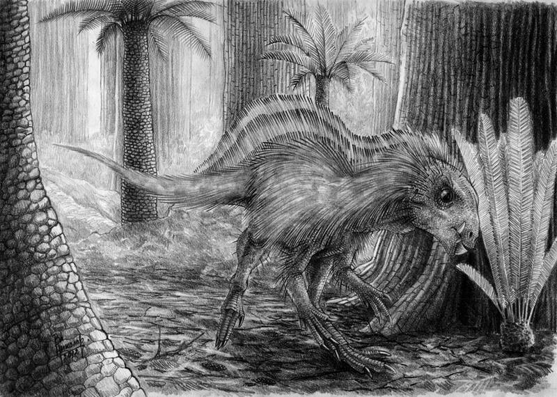 Pegomastax africanus by T-PEKC