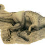 Dryptosaurus aquilunguis