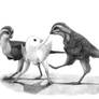 Eosinopteryx brevipenna