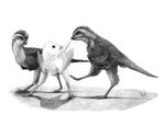 Eosinopteryx brevipenna by T-PEKC