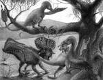 Velociraptor and Protoceratops