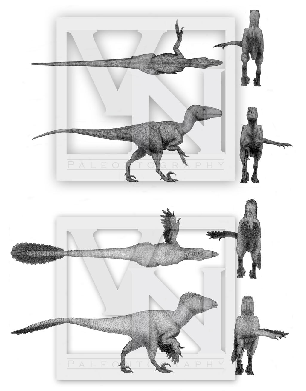Utahraptor concept art