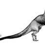 Daspletosaurus torosus