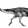 Zhuchengtyrannus magnus