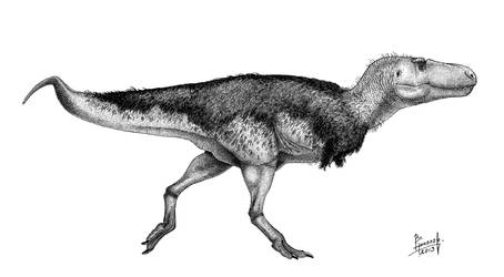 Zhuchengtyrannus magnus