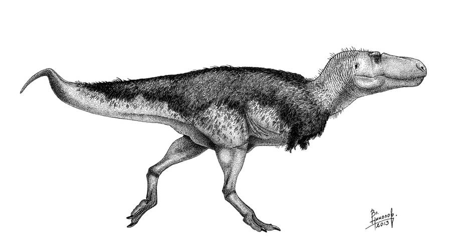 Zhuchengtyrannus magnus by T-PEKC