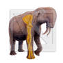 Deinotherium thraciensis