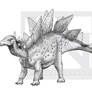 Stegosaurus stenops